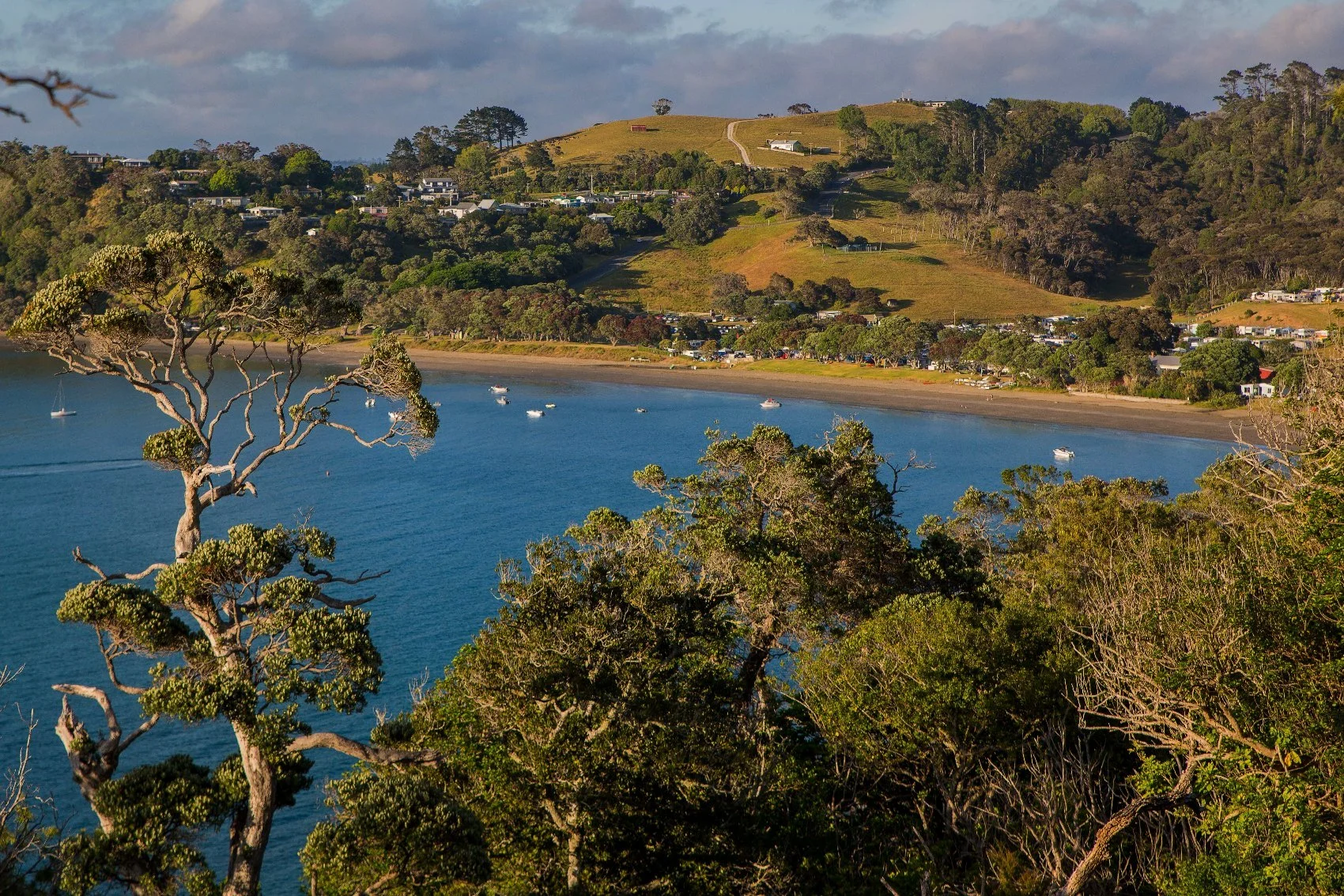 Martins Bay,d-027.jpg