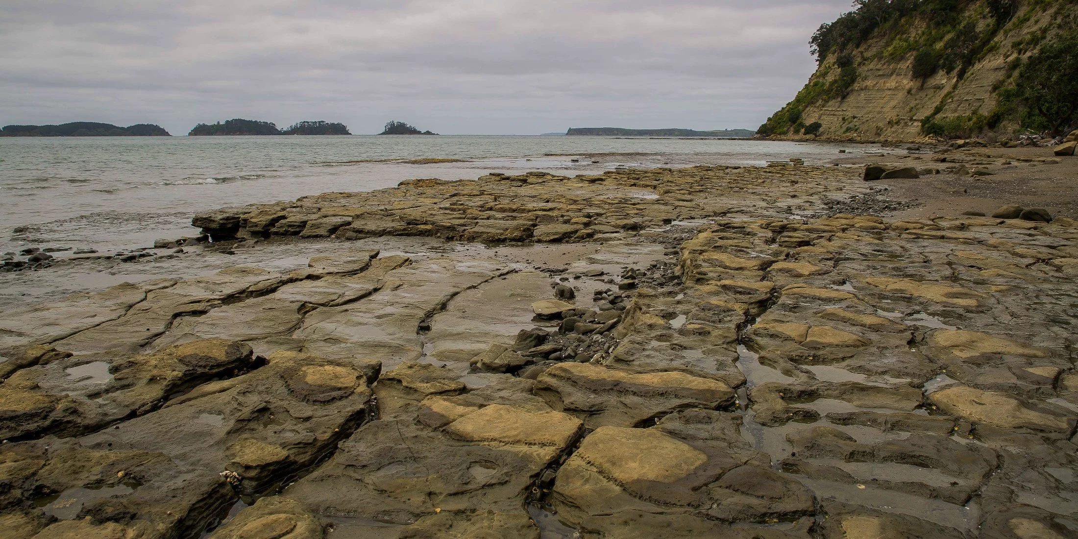 Martins Bay,d-065.jpg