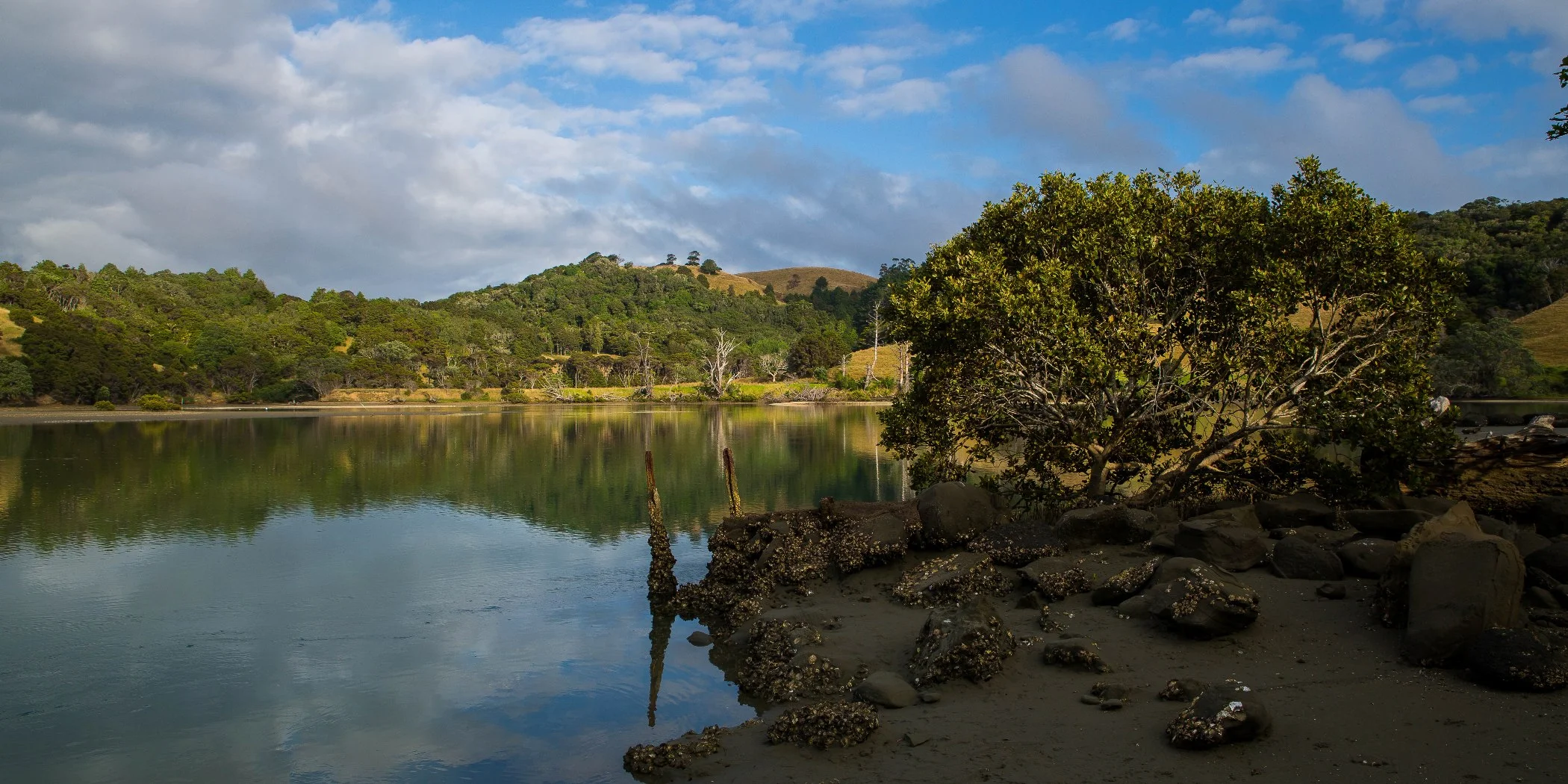 Puhoi Estuary,d-288.jpg