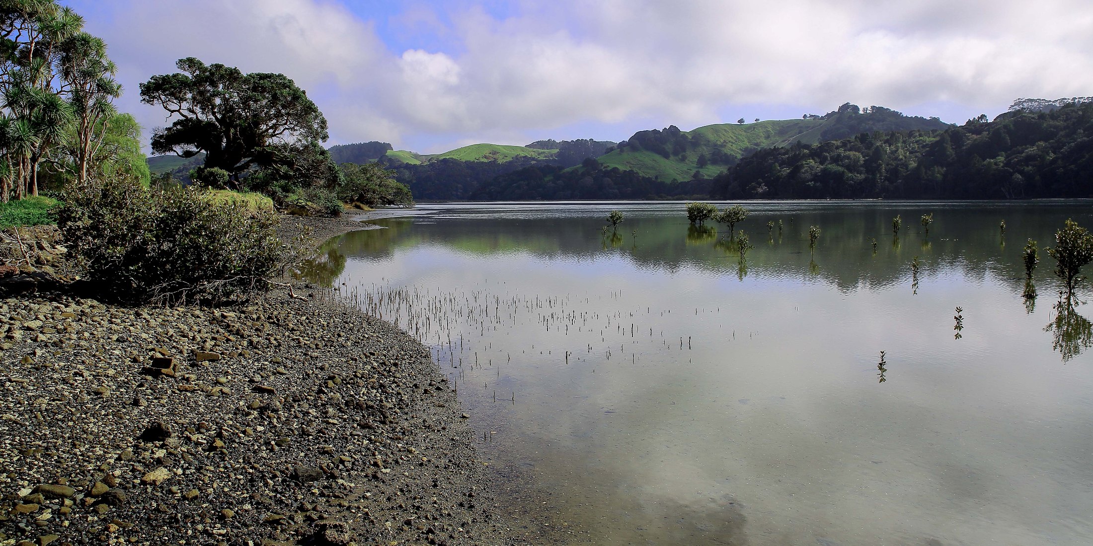 Puhoi River Estuary,d081,-.jpg
