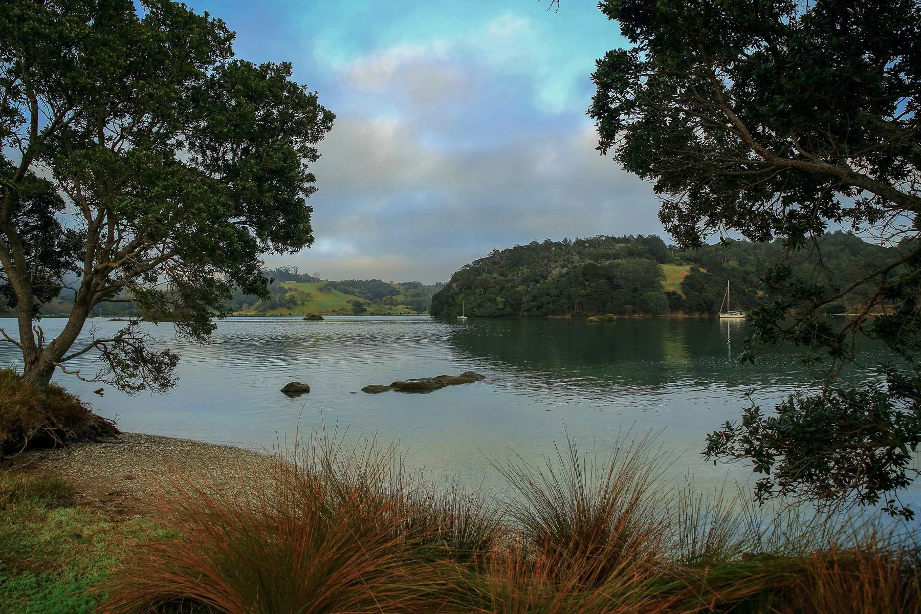 Puhoi River,d003,-.jpg