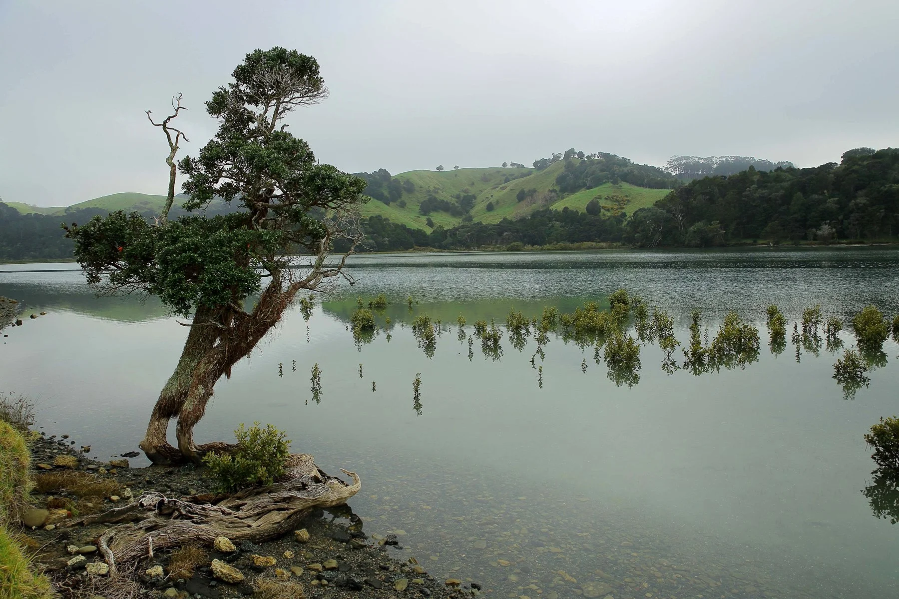 Puhoi River,d070,-.jpg