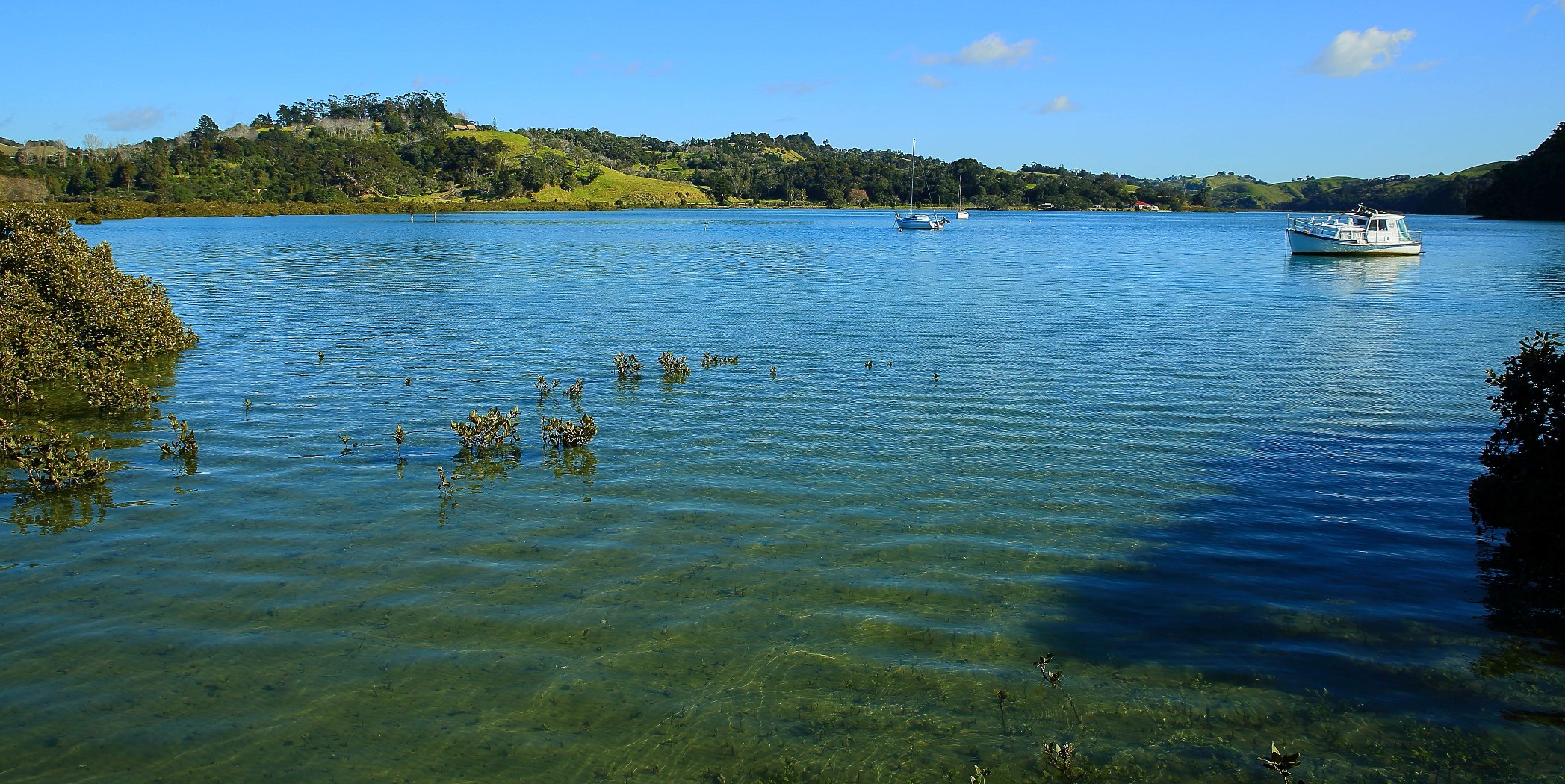 Puhoi River,d101,-.jpg