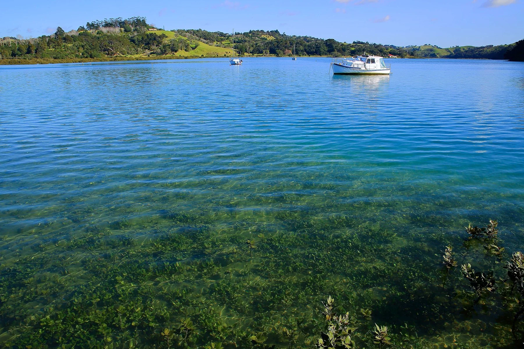 Puhoi River,d103,-.jpg