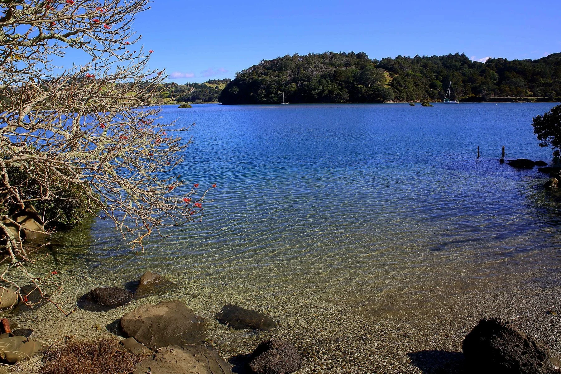 Puhoi River,d144,-.jpg