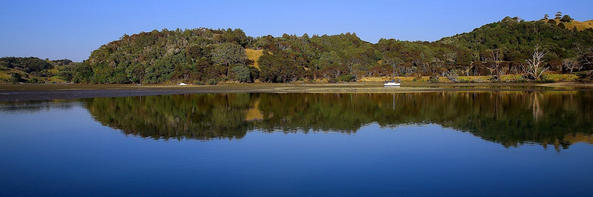 Puhoi River,d620,-.jpg
