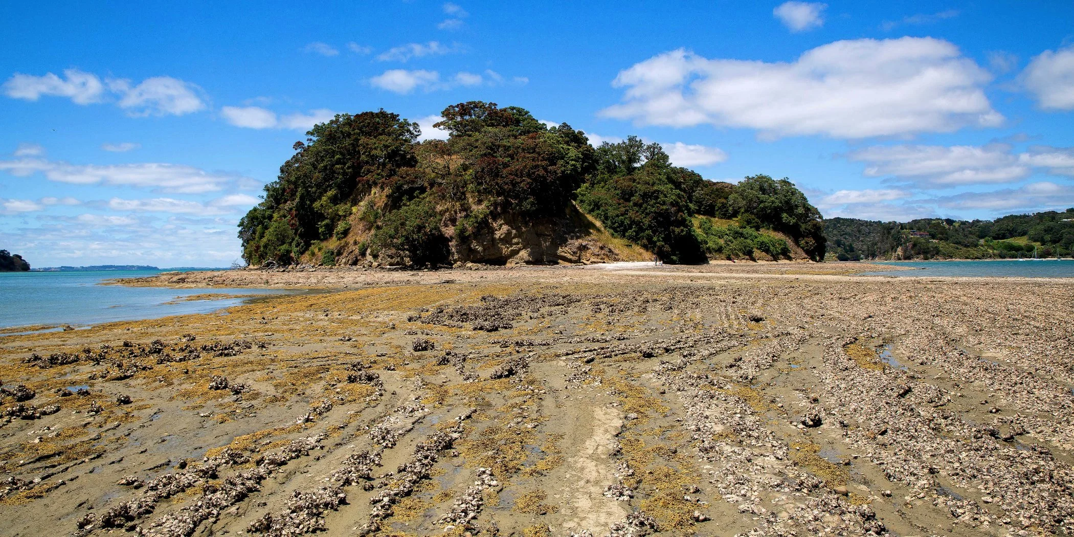 Scotts Landing,Casnell Island,-d151.jpg