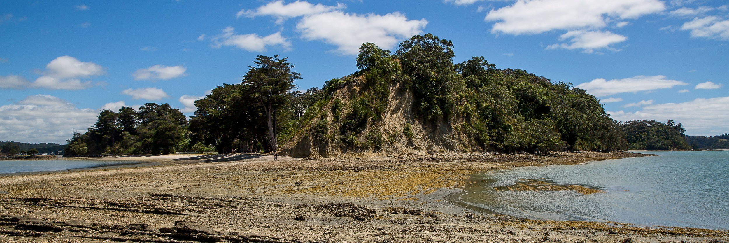 Scotts Landing,Casnell Island,d-154.jpg