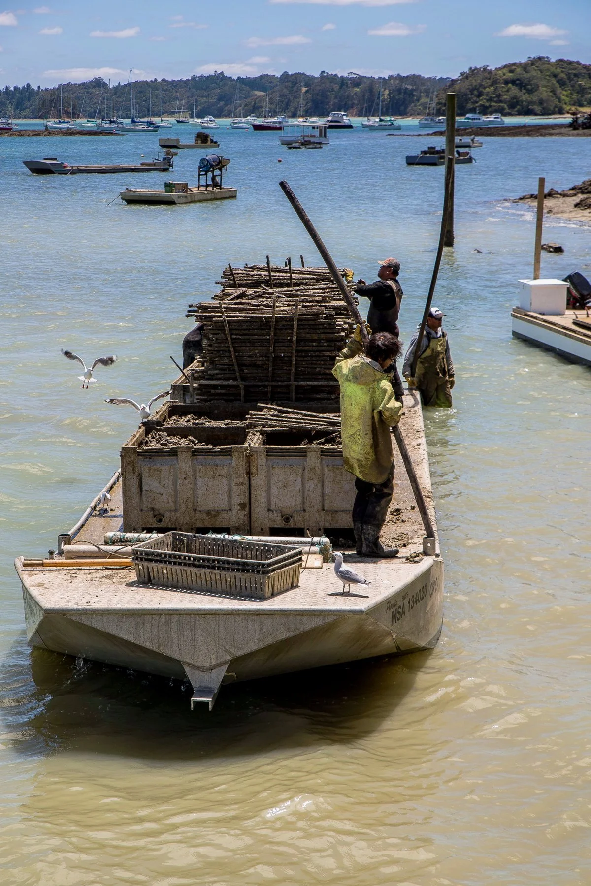 Scotts Landing,d-176.jpg