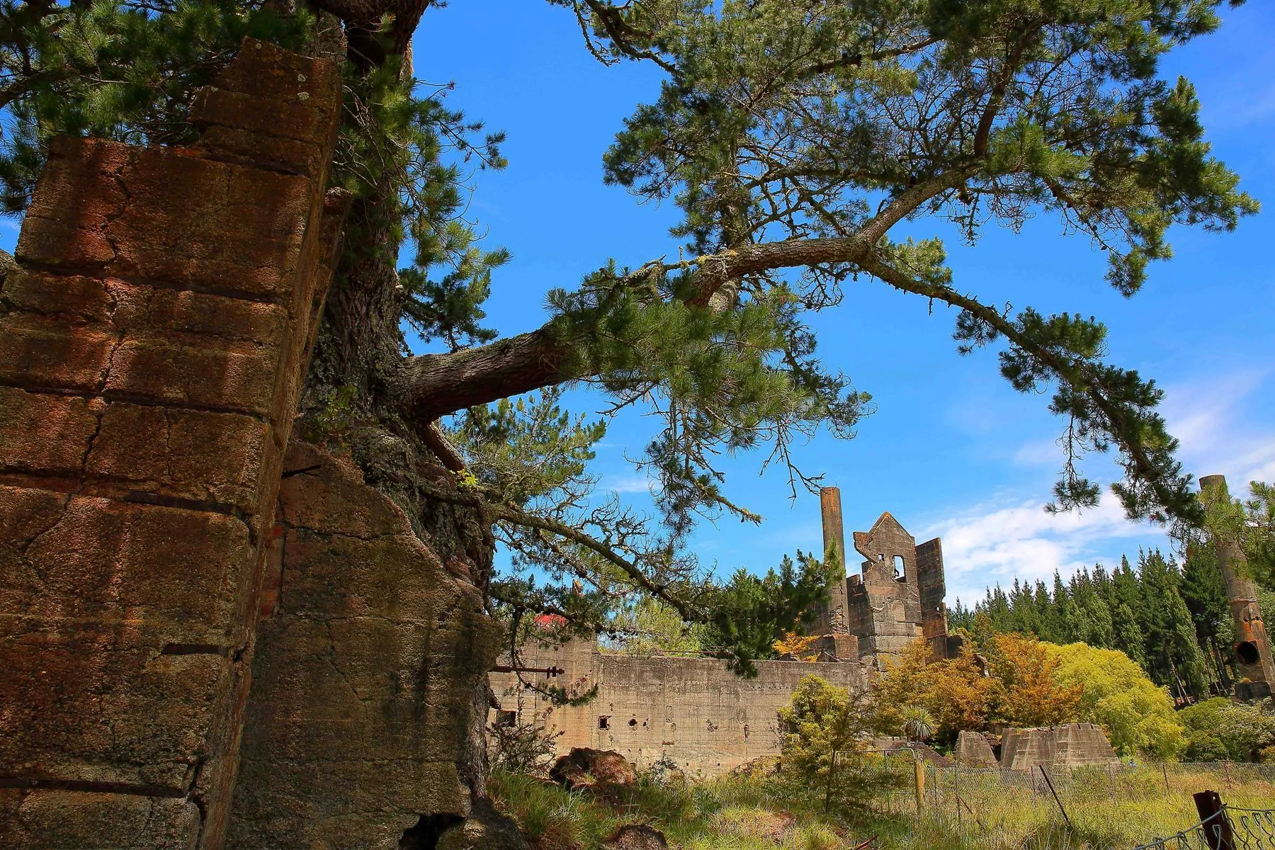 Warkworth Old Cement Works,d-298.jpg