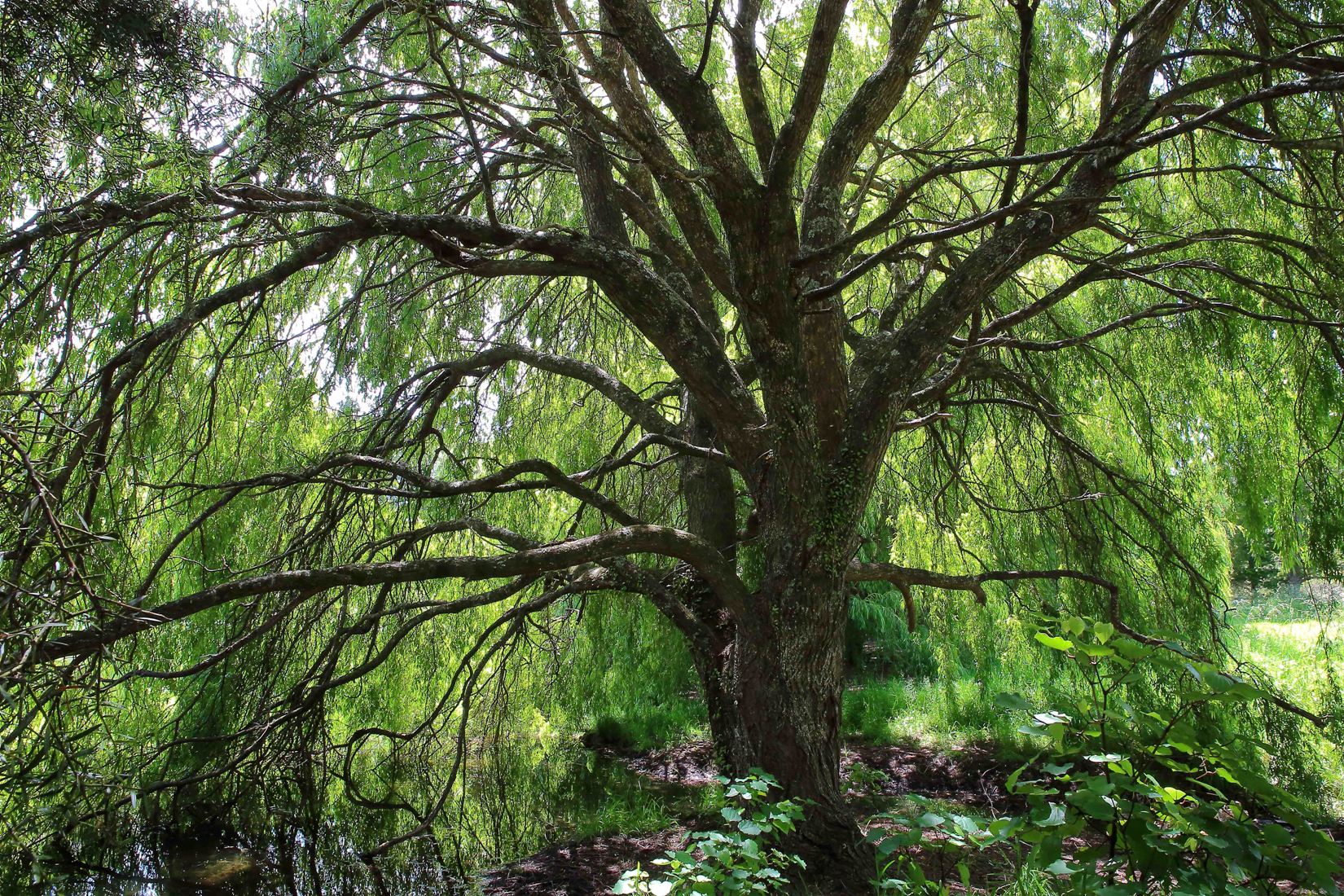 Warkworth Old Cement Works,d-307.jpg