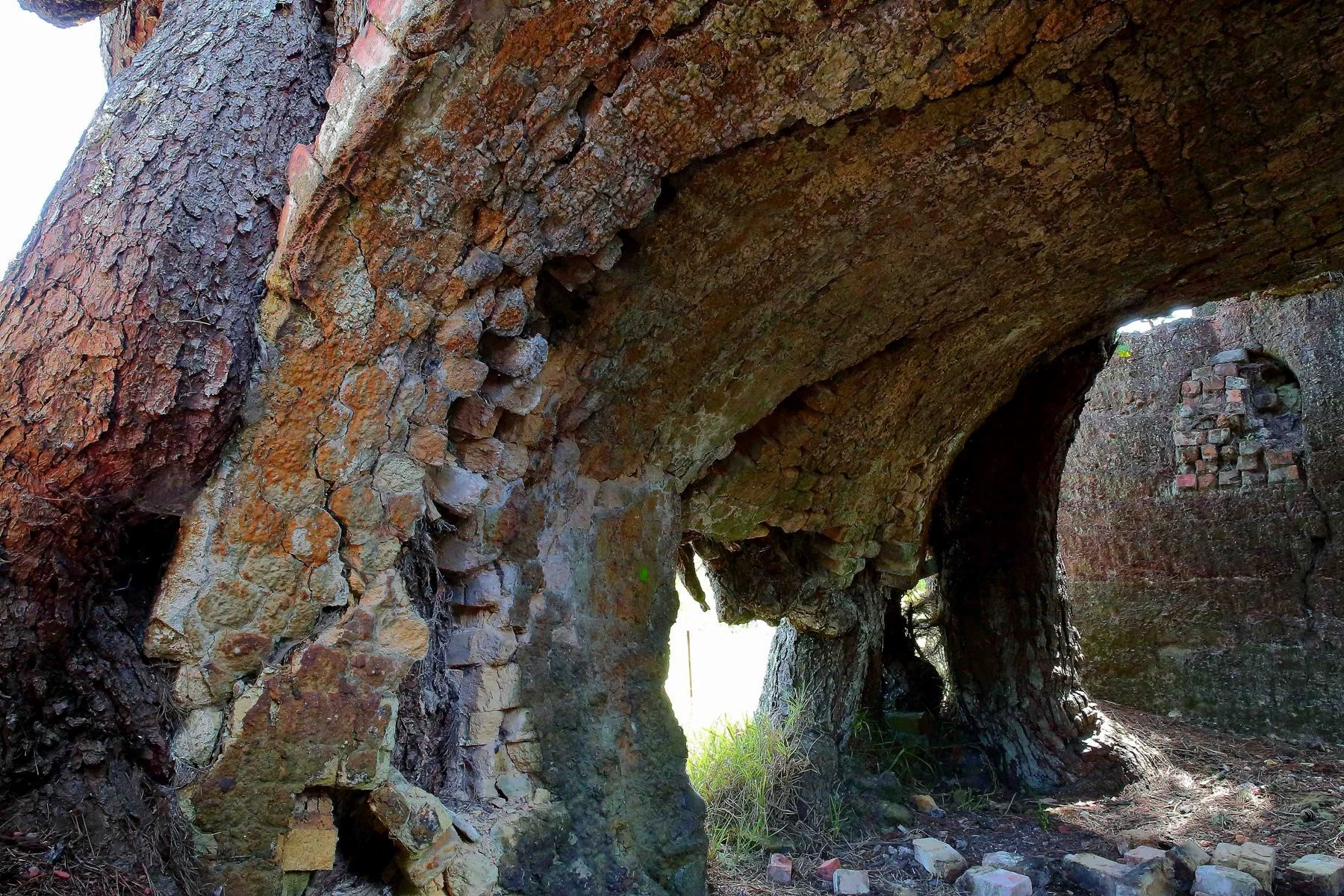 Warkworth Old Cement Works,d-317.jpg