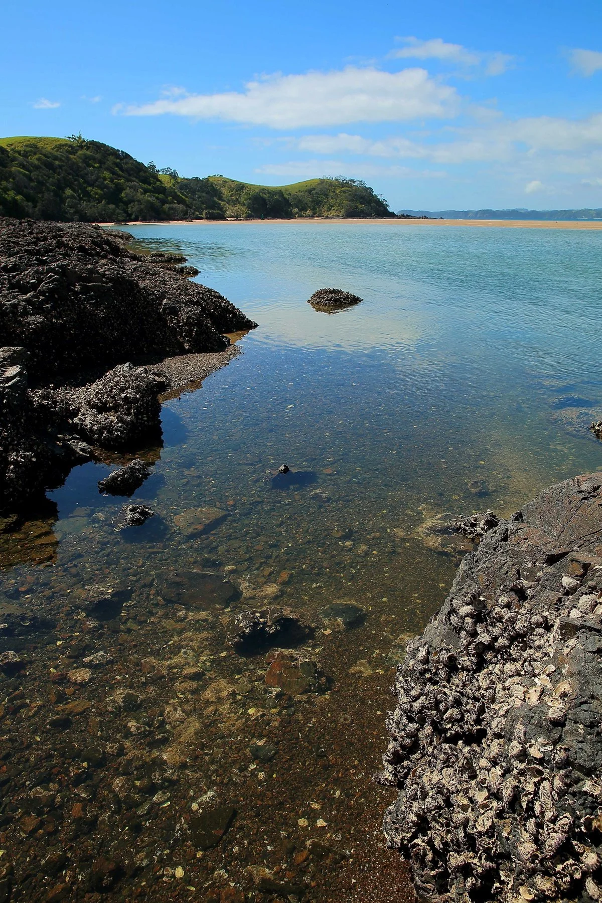 Whananaki,d-451.jpg