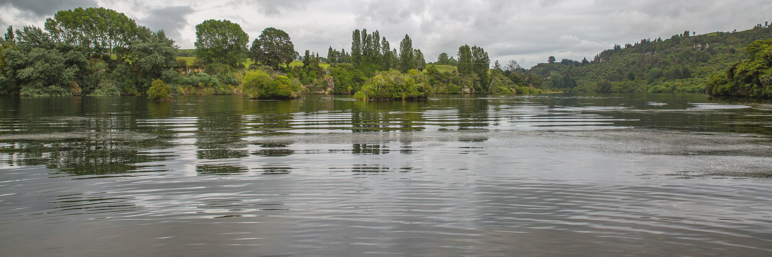 Waikato River,-209.JPG