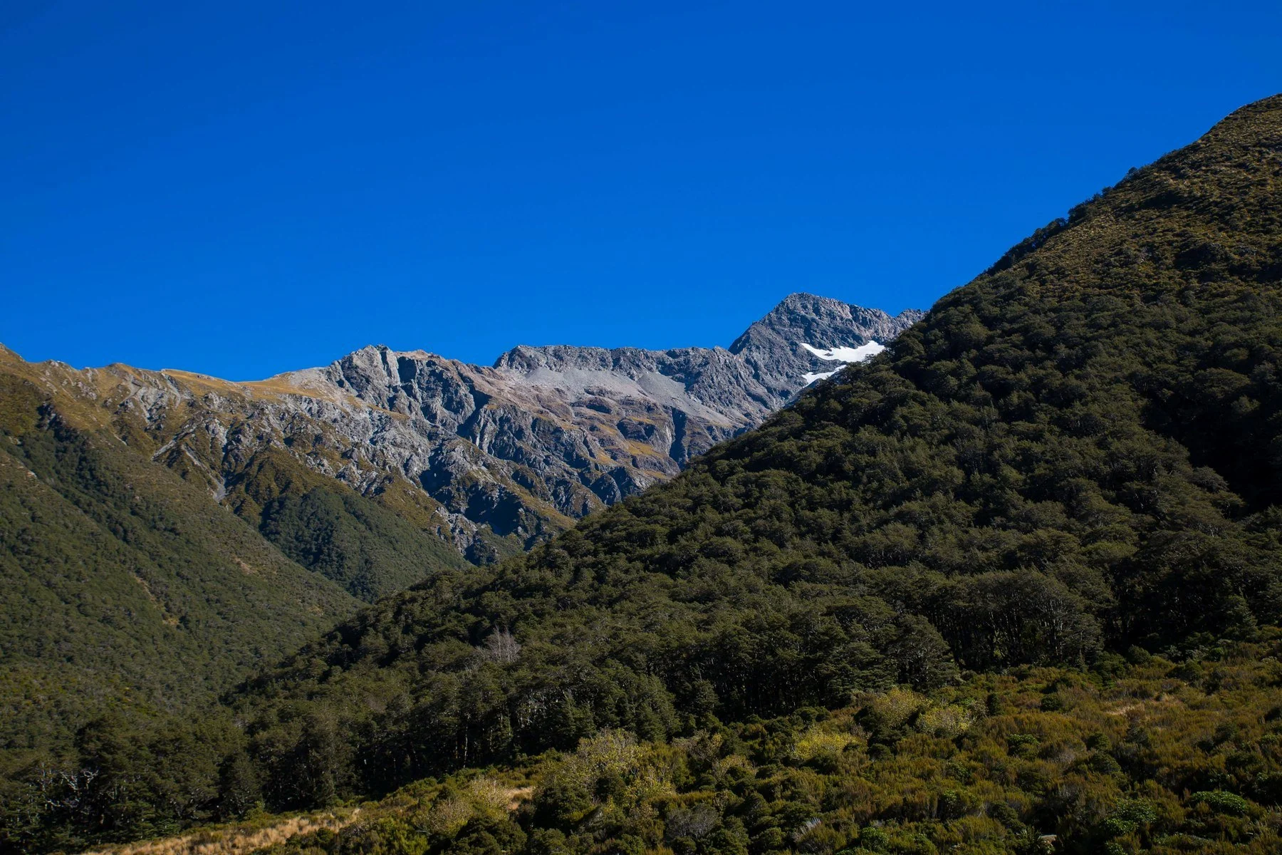 Arthurs Pass,d-1238.jpg