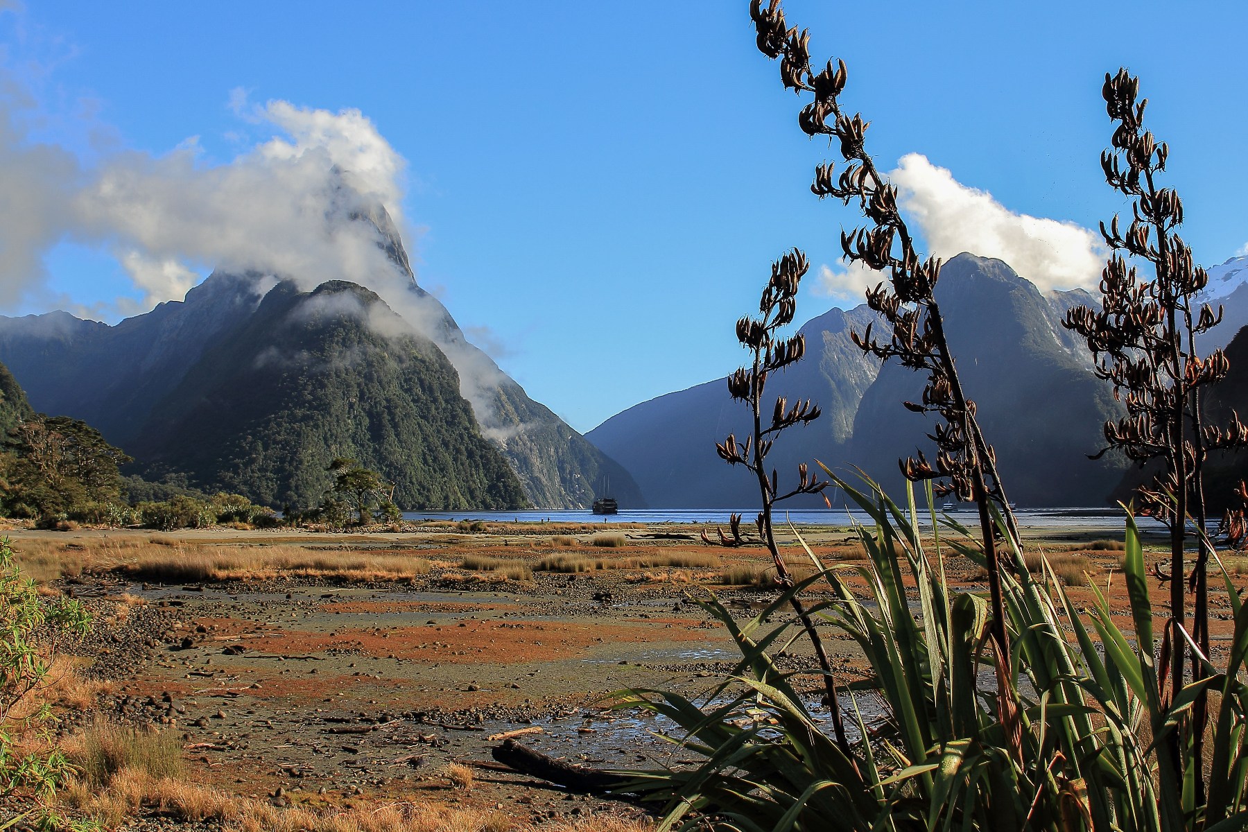 Milford Sound,d216,-.jpg