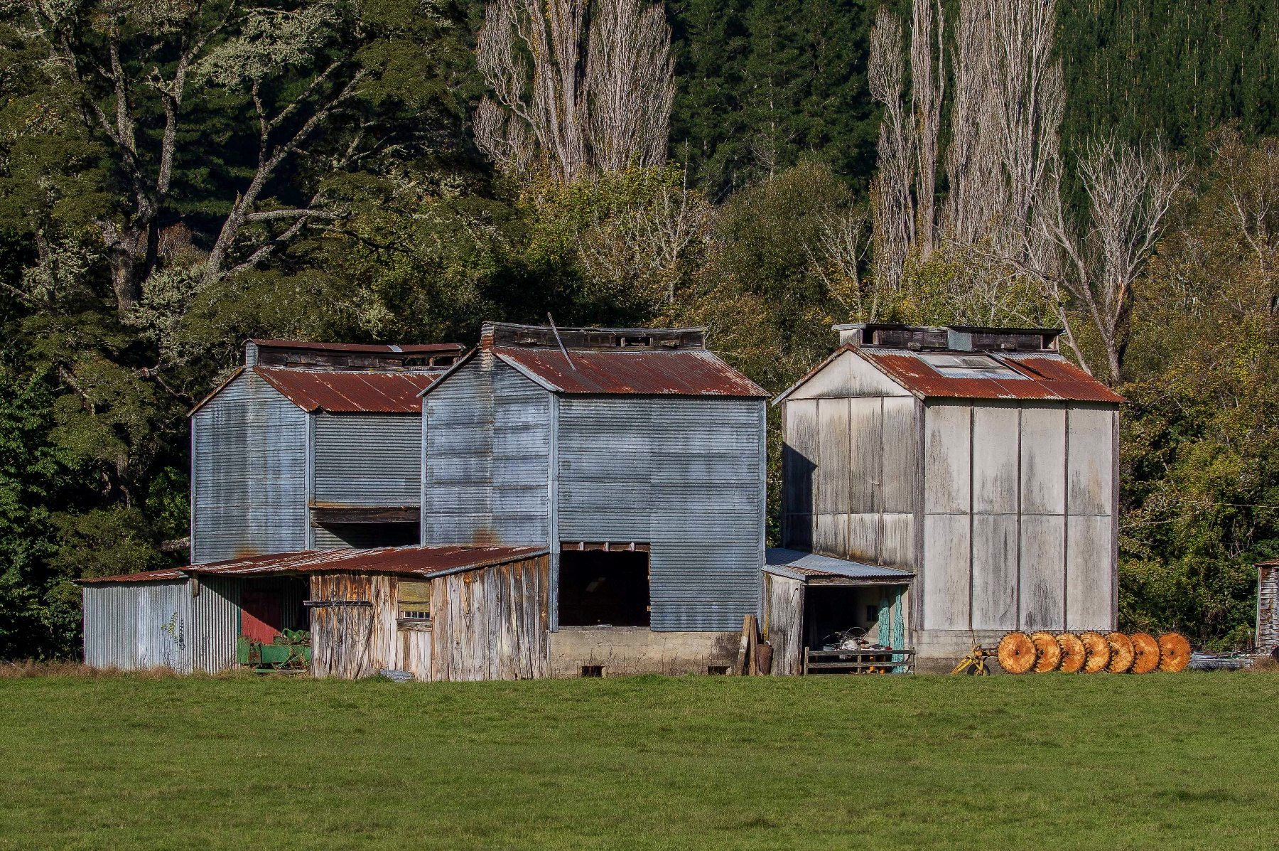 Motueka,d-097.jpg