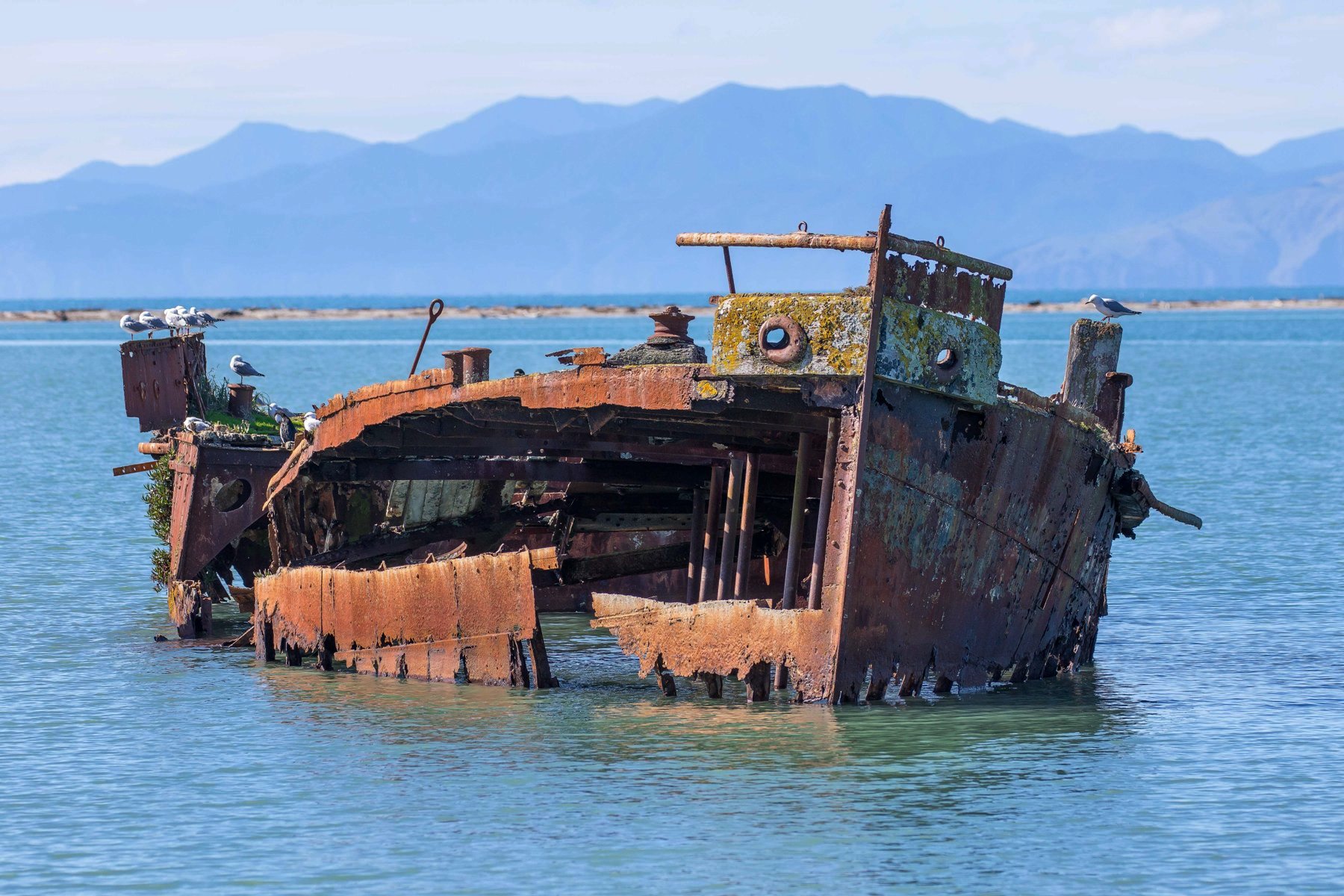 Motueka,-Jane Seddon-,d-012.jpg