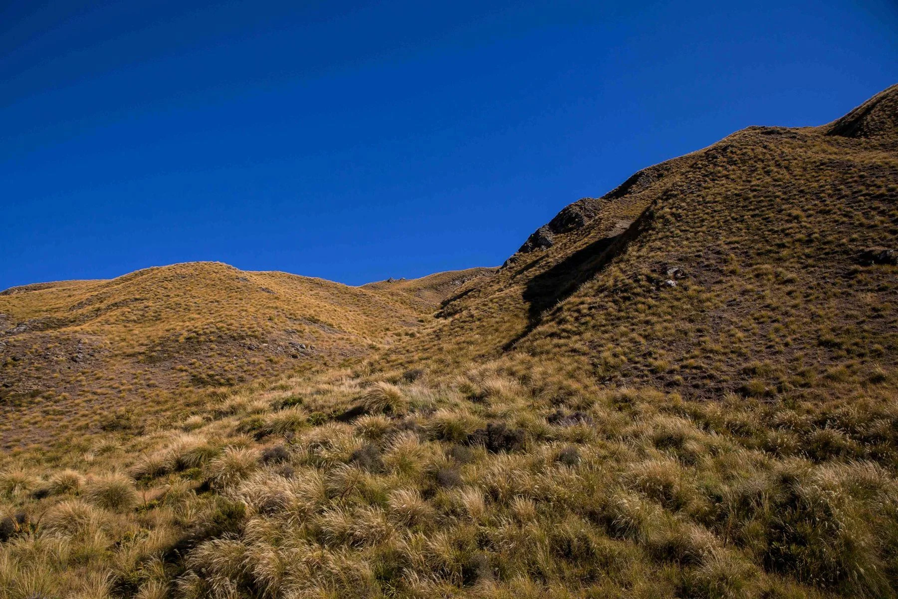 Crown Range,d-379.jpg