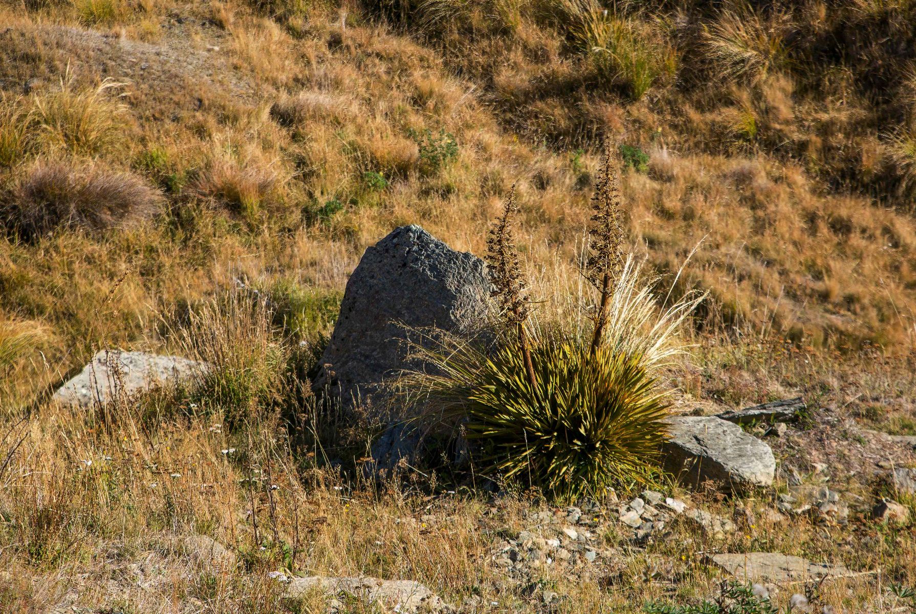 Crown Range,d-382.jpg