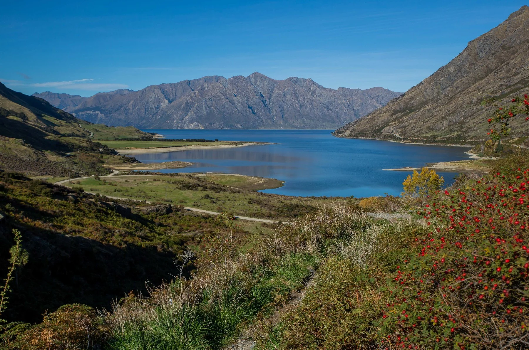 Lake Hawea,d-331.jpg