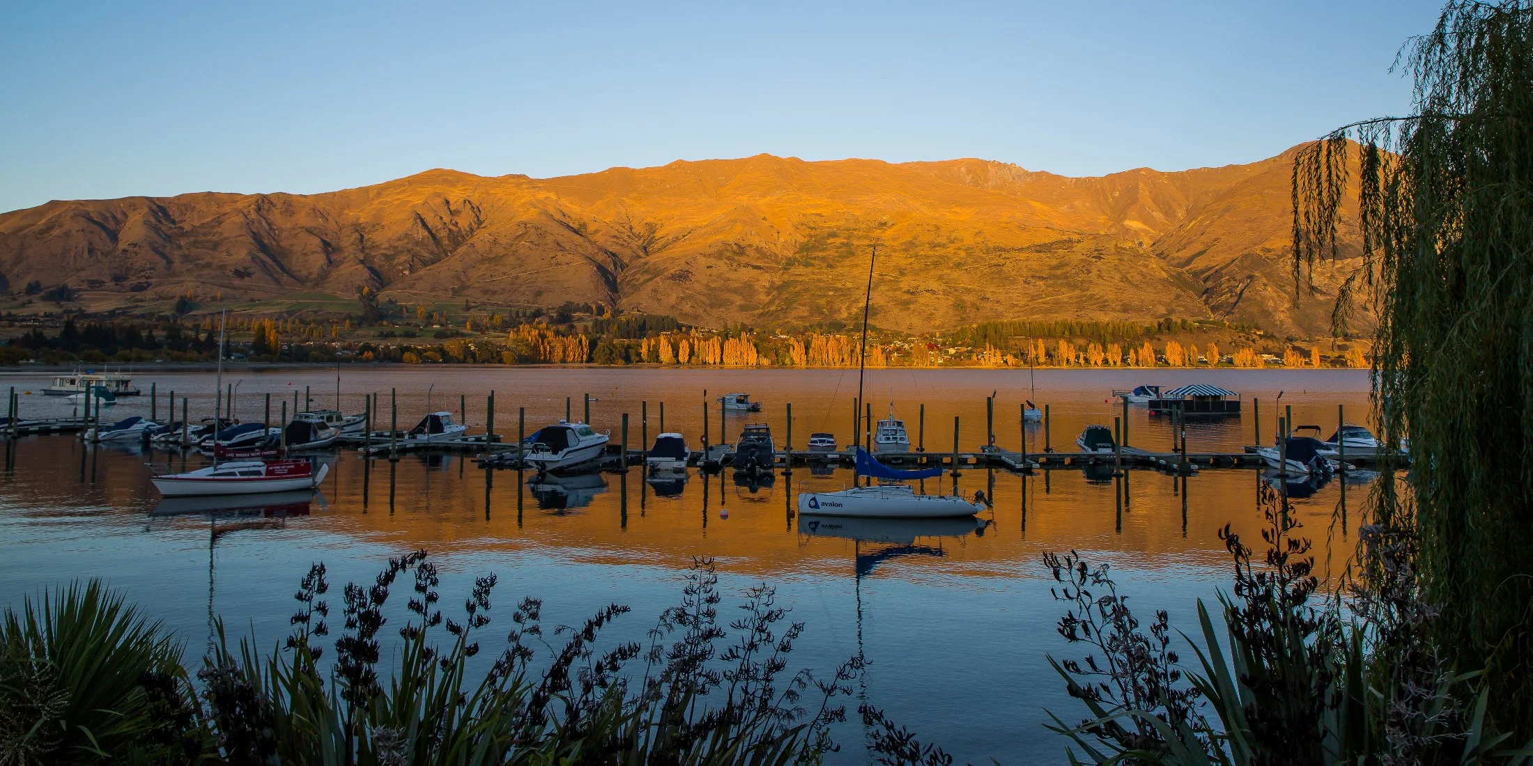 Lake Wanaka,d-353.jpg