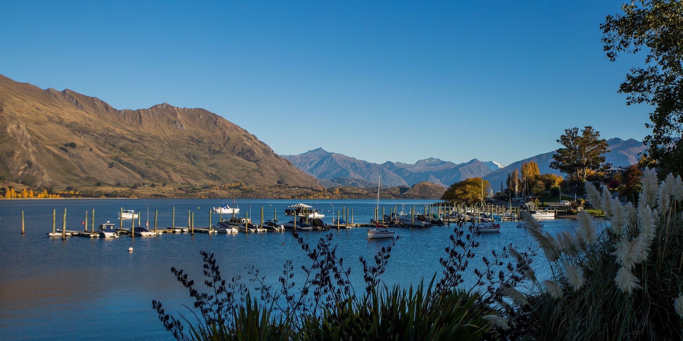 Lake Wanaka,d-363.jpg