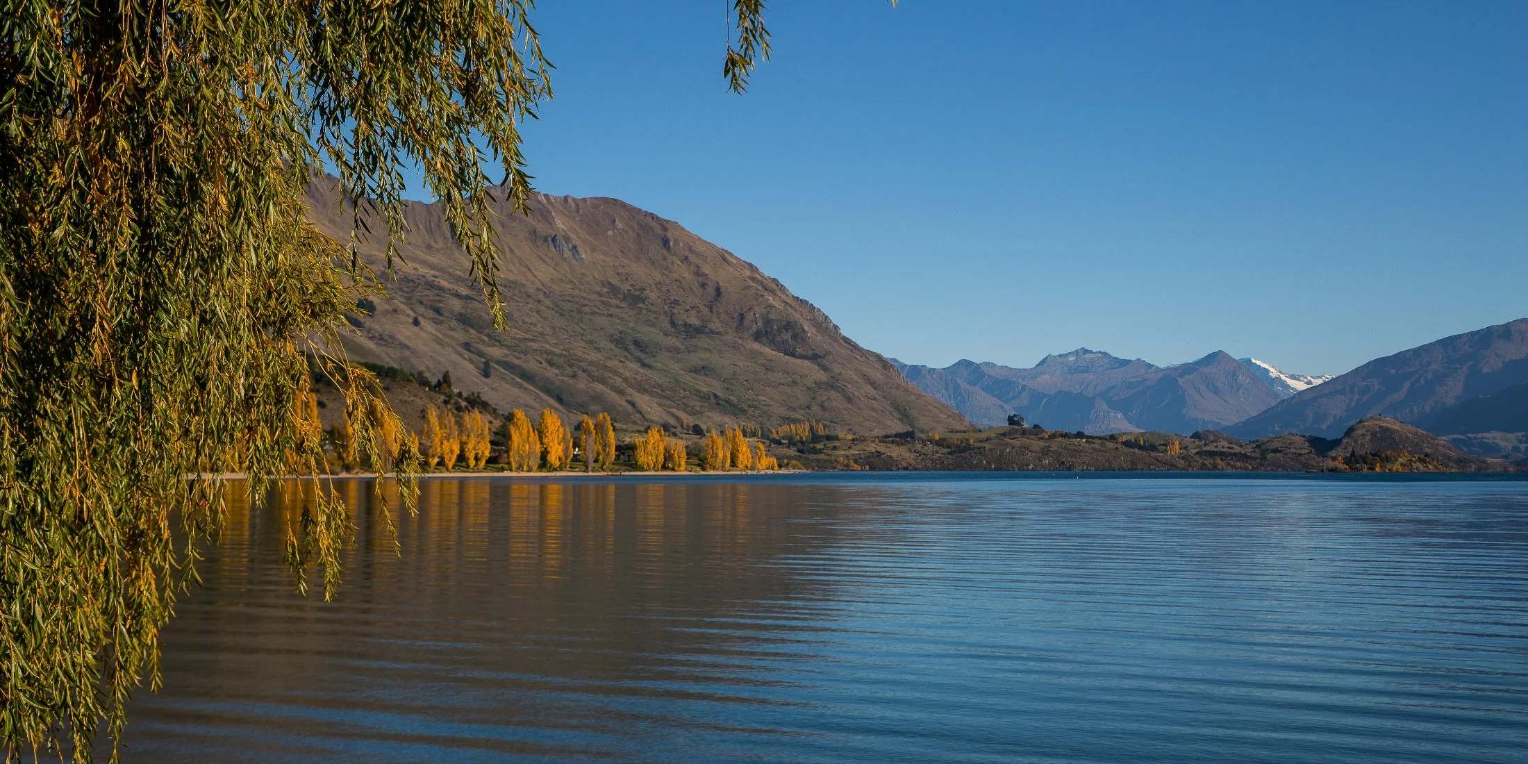 Lake Wanaka,d-365.jpg