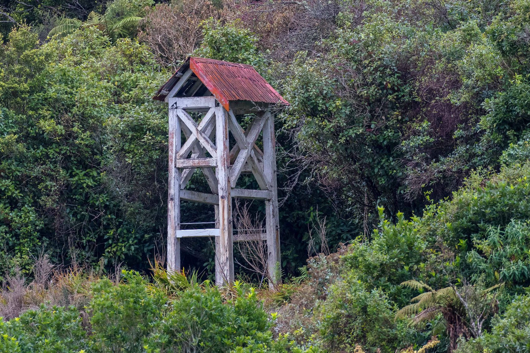Brunner Mine,d-887.jpg