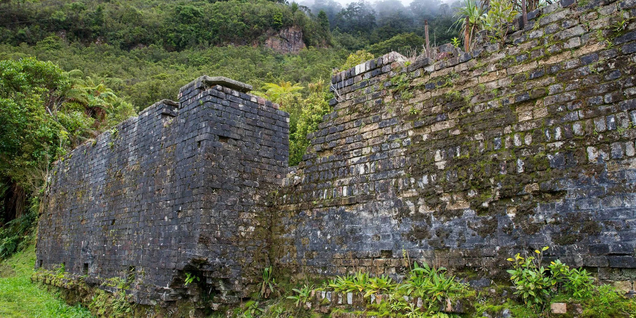 Brunner Mine,d-1277.jpg