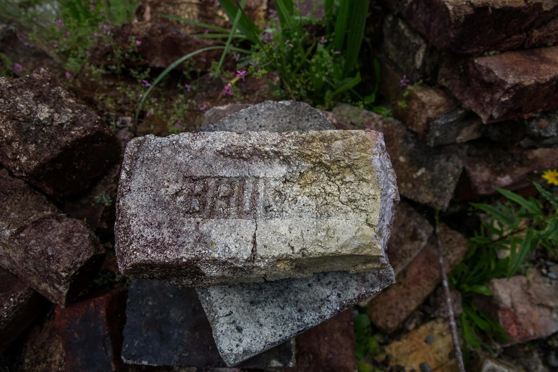 Brunner Mine,d-1291.jpg