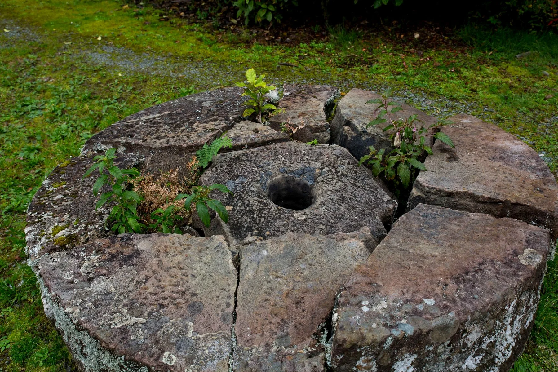 Brunner Mine,d-1296.jpg