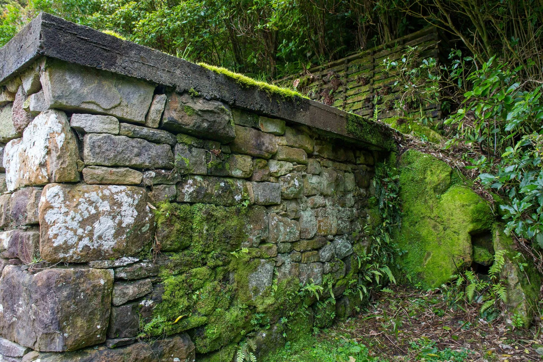 Brunner Mine,d-1303.jpg