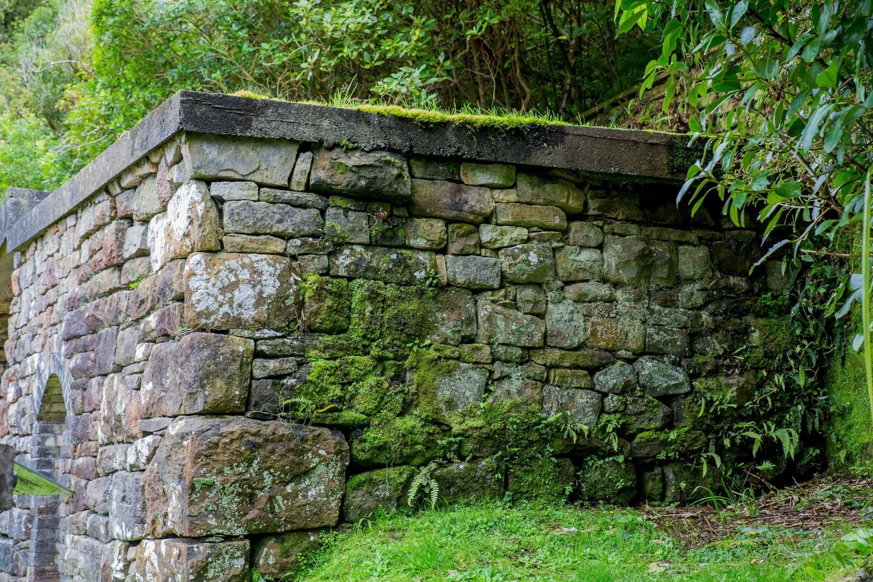 Brunner Mine,d-1308.jpg