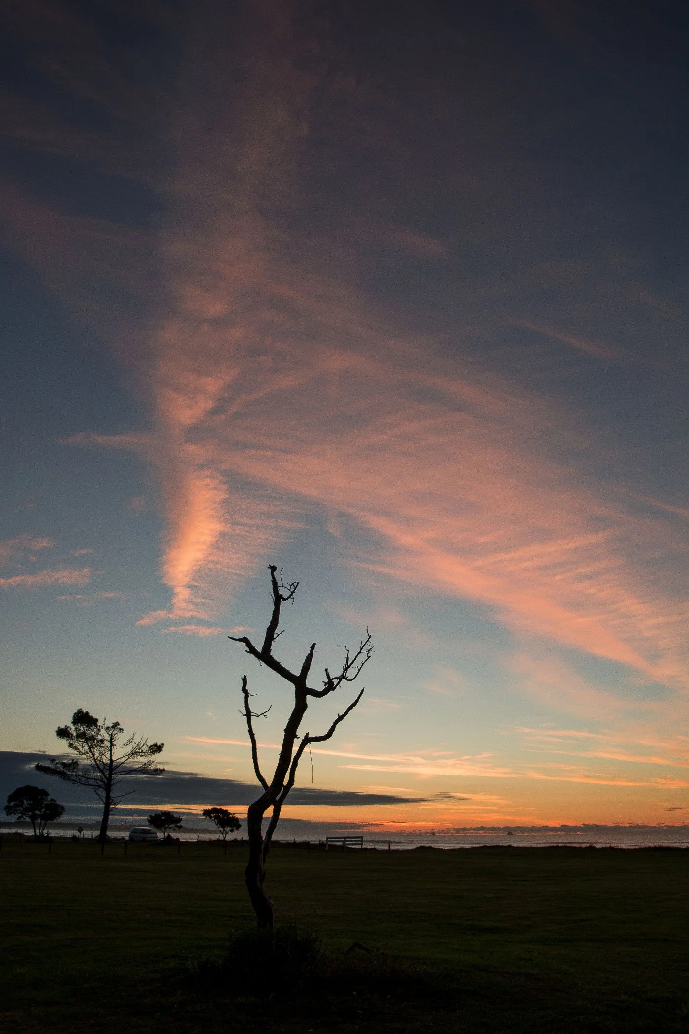 Carters Beach,d-684.jpg