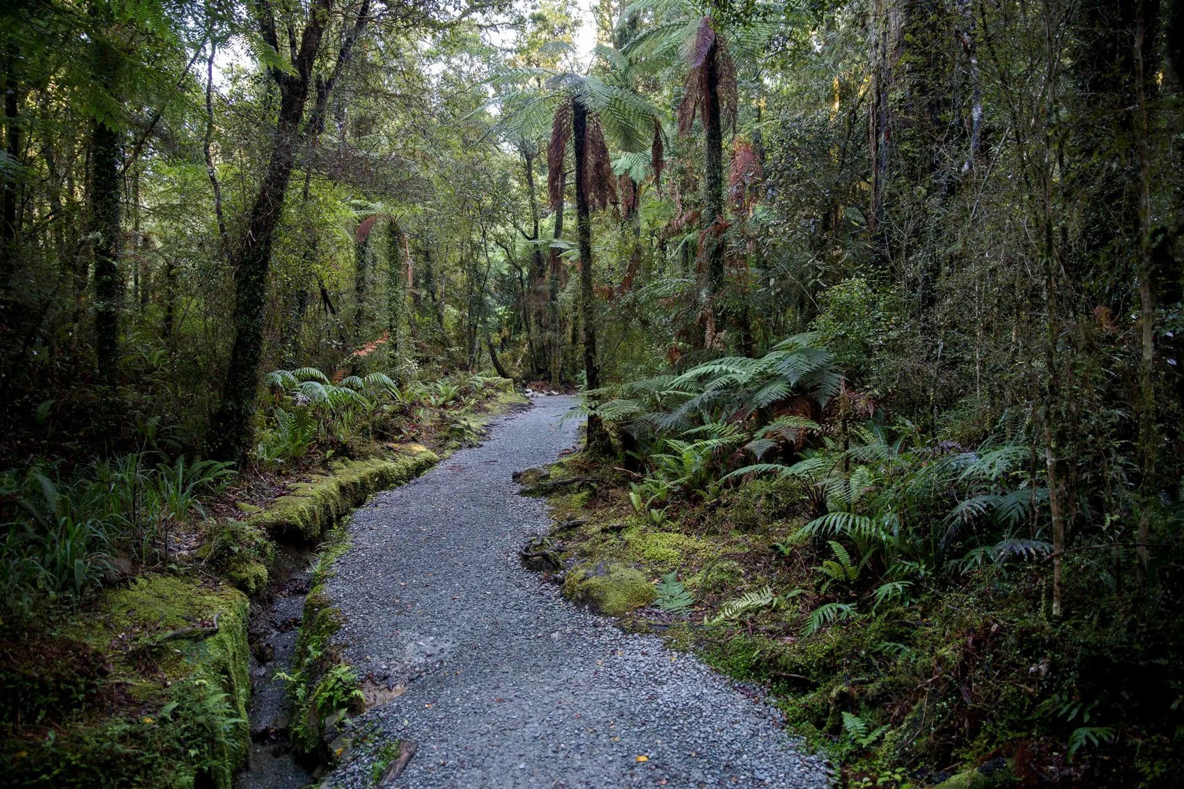 Hokitika Gorge,d-1416.jpg