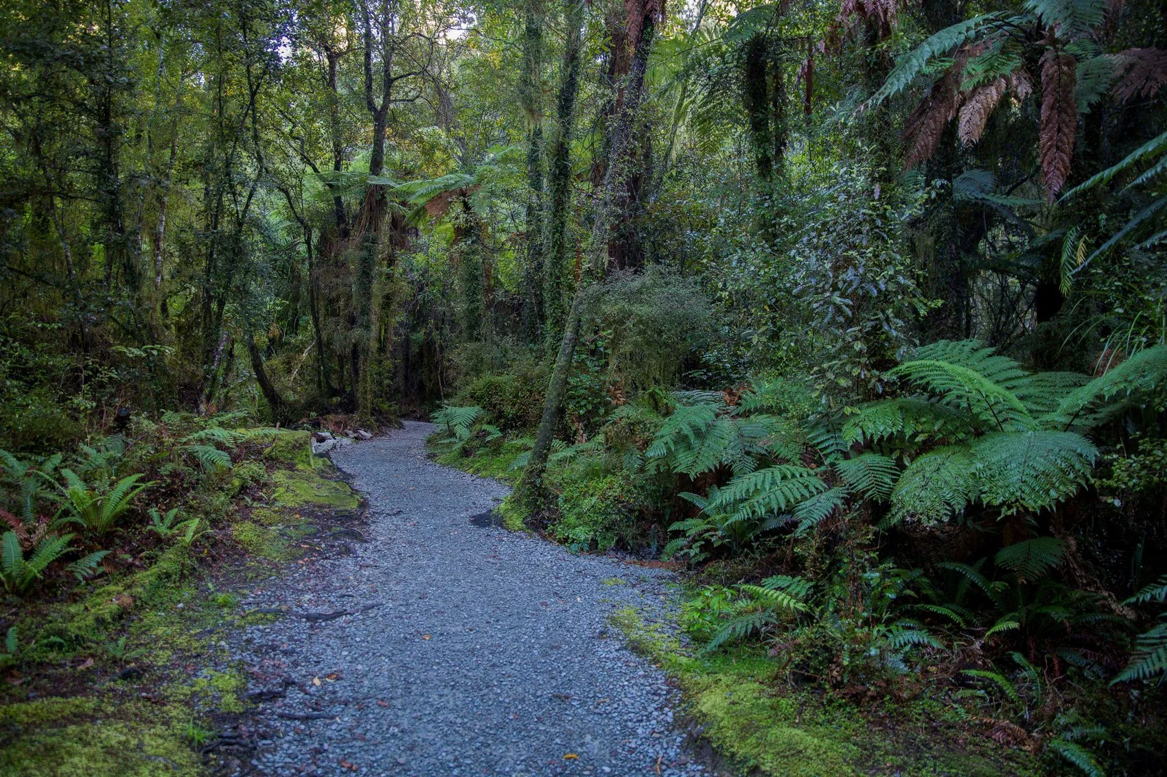 Hokitika Gorge,d-1417.jpg