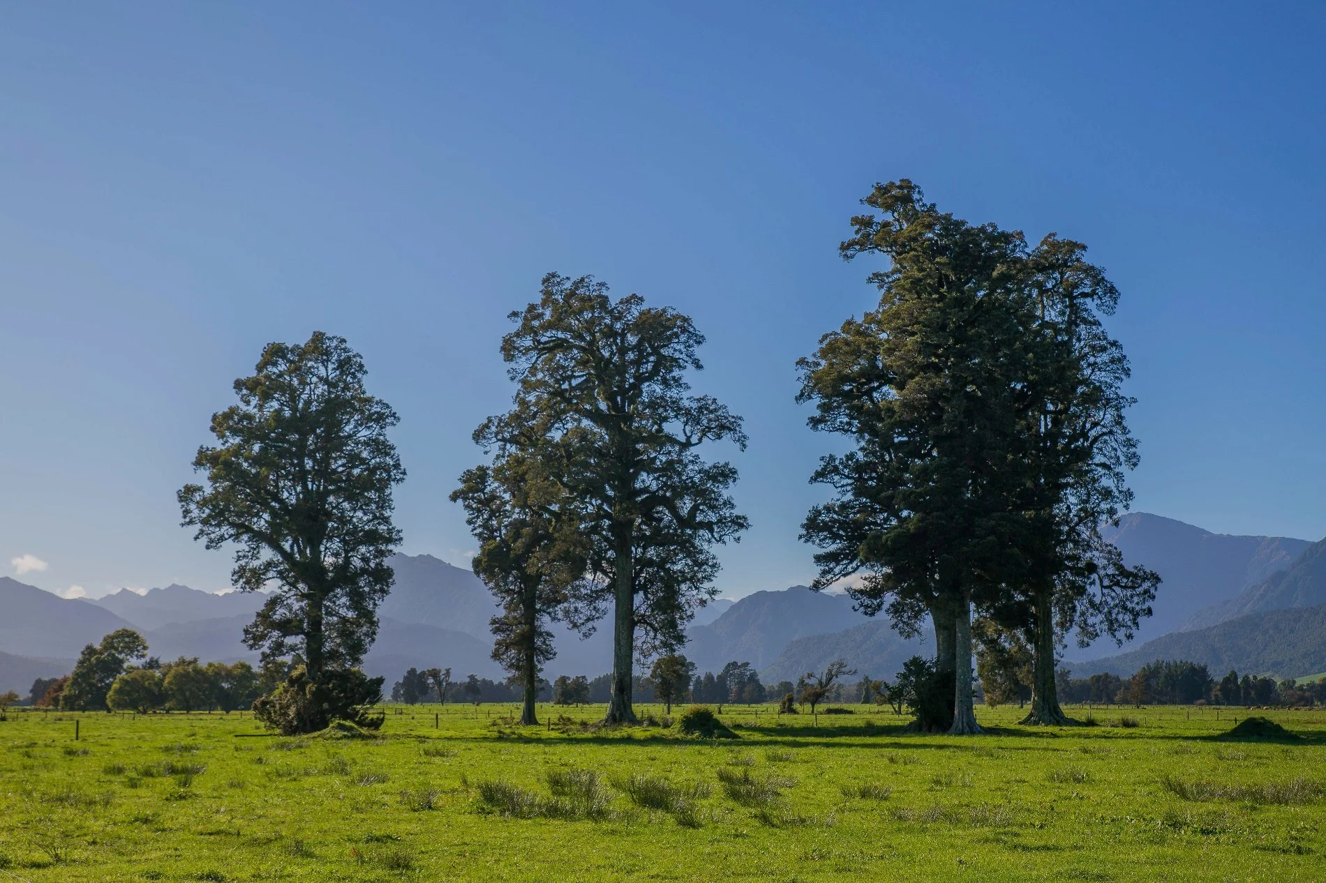 Hokitika Gorge,d-1440.jpg
