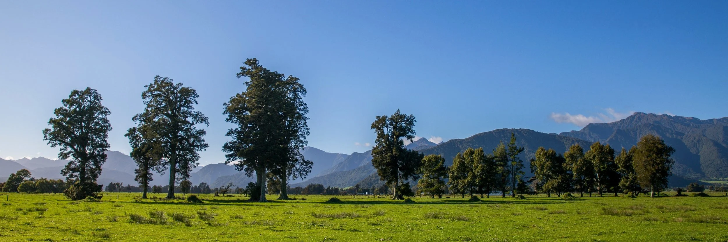 Hokitika Gorge,d-1441.jpg