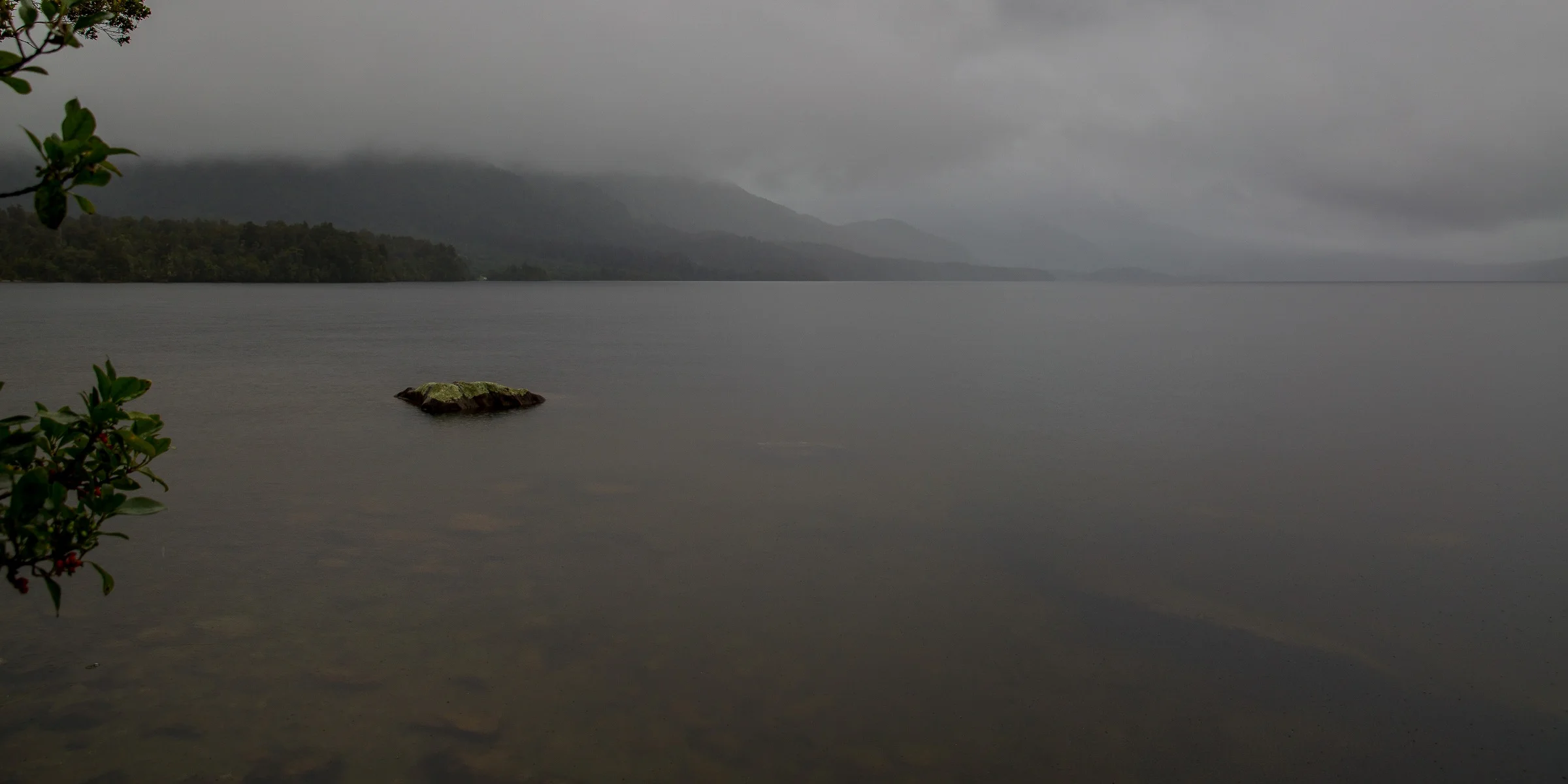 Lake Kaniere,d-1357.jpg