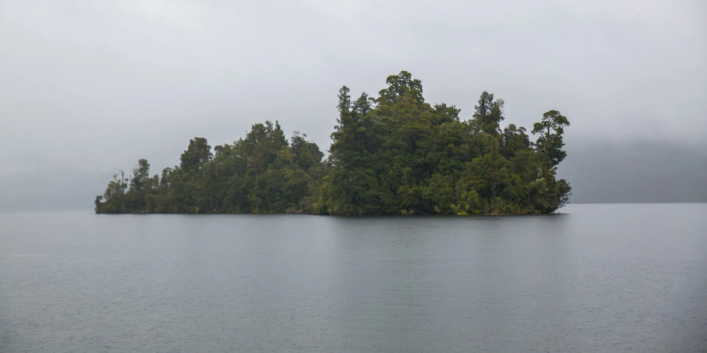 Lake Kaniere,d-1360.jpg