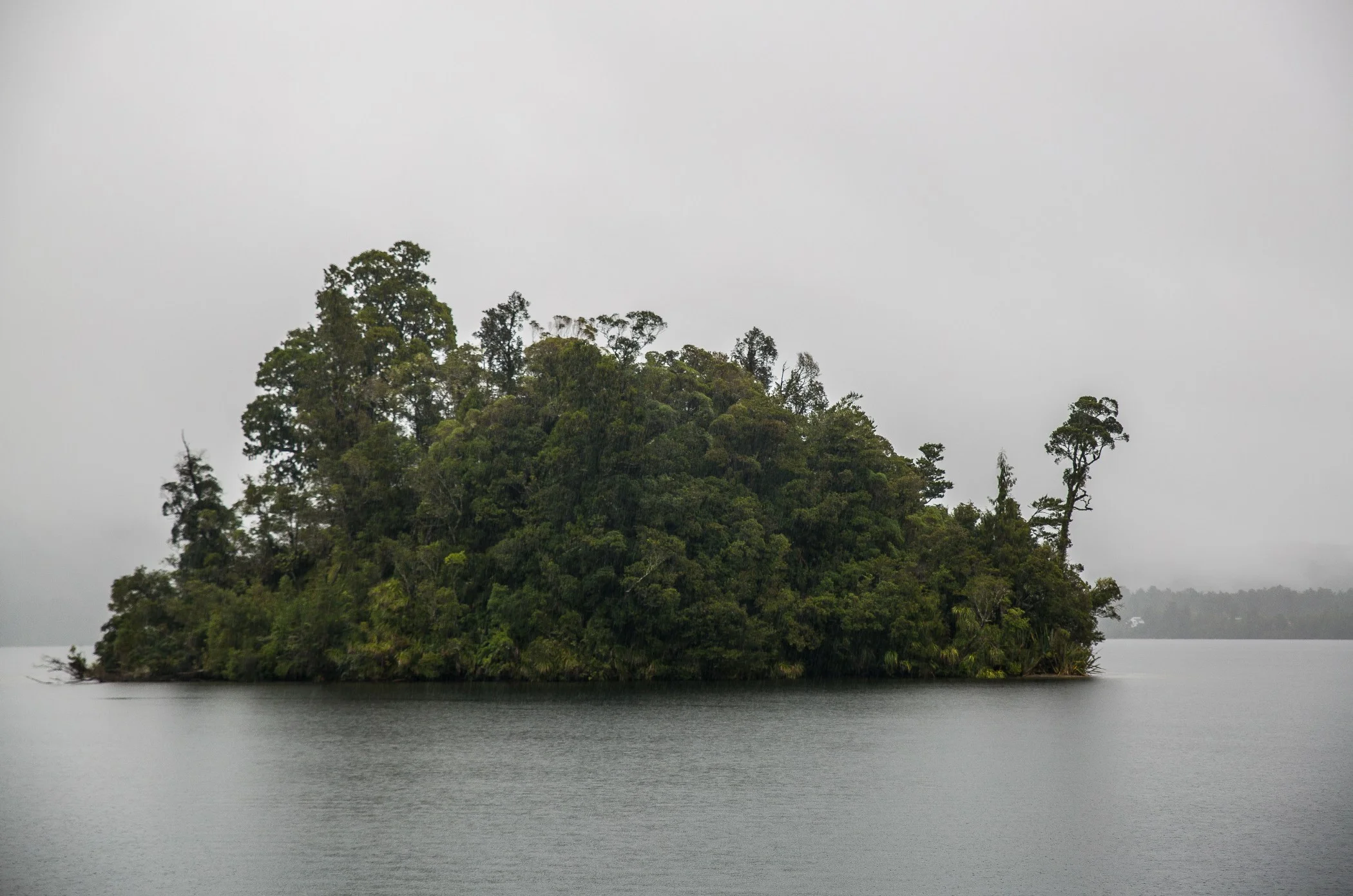 Lake Kaniere,d-1364.jpg