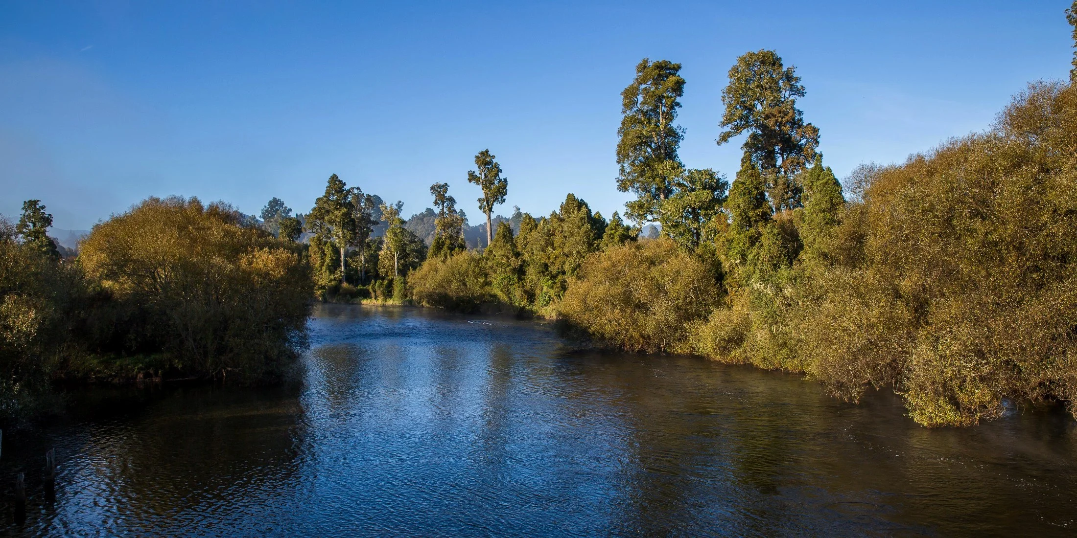 Arnold River,d-1152.jpg