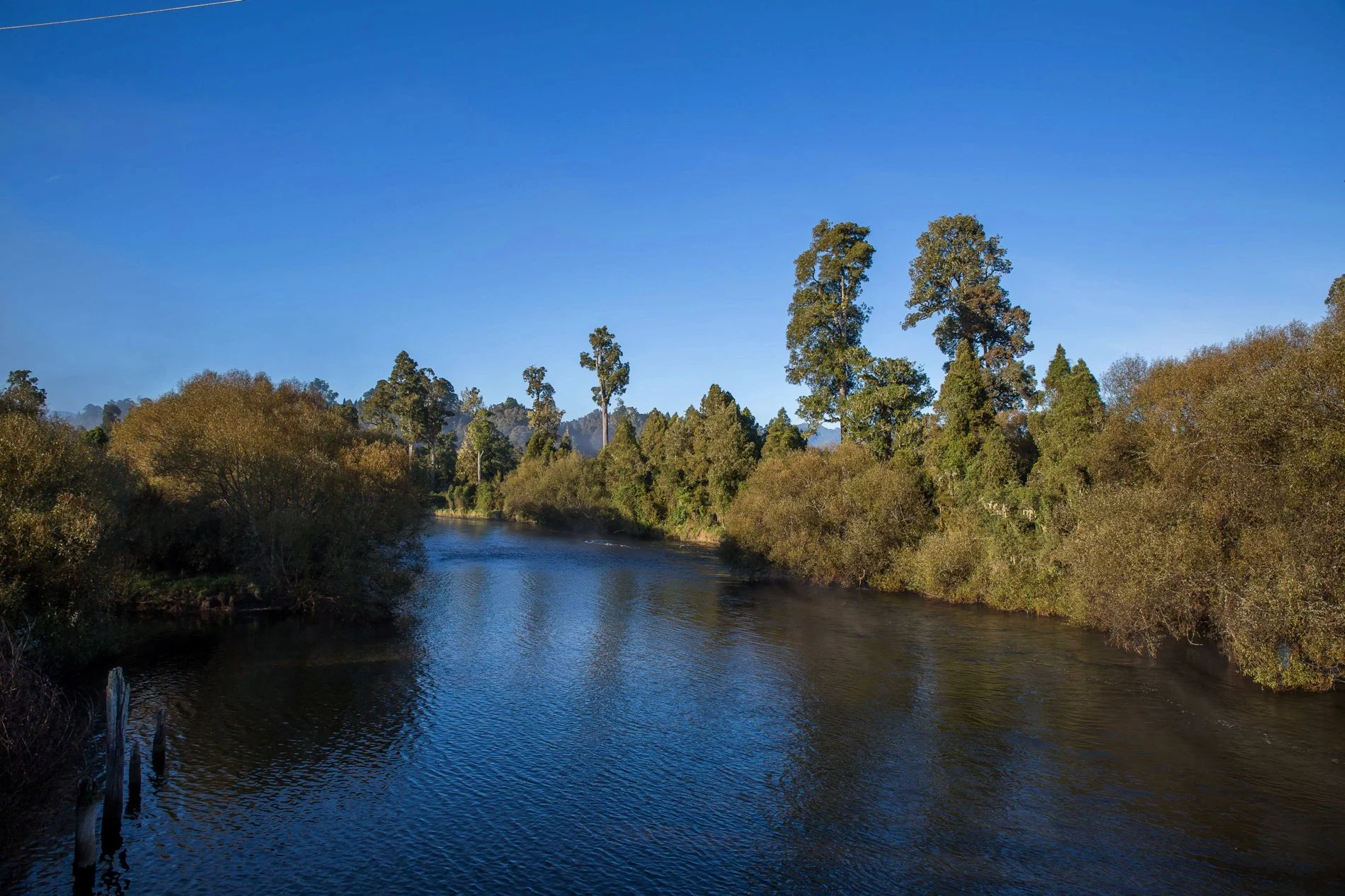 Arnold River,d-1155.jpg