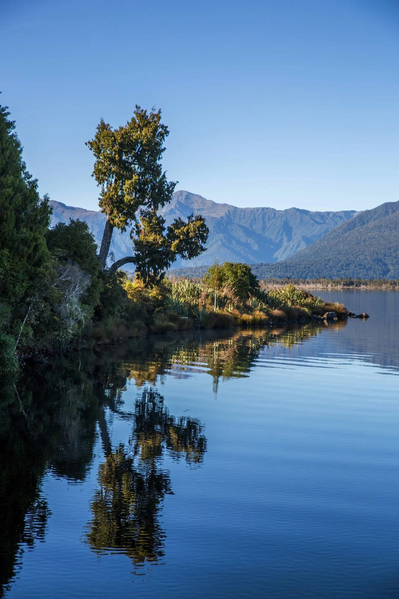 Arnold River,d-1183.jpg