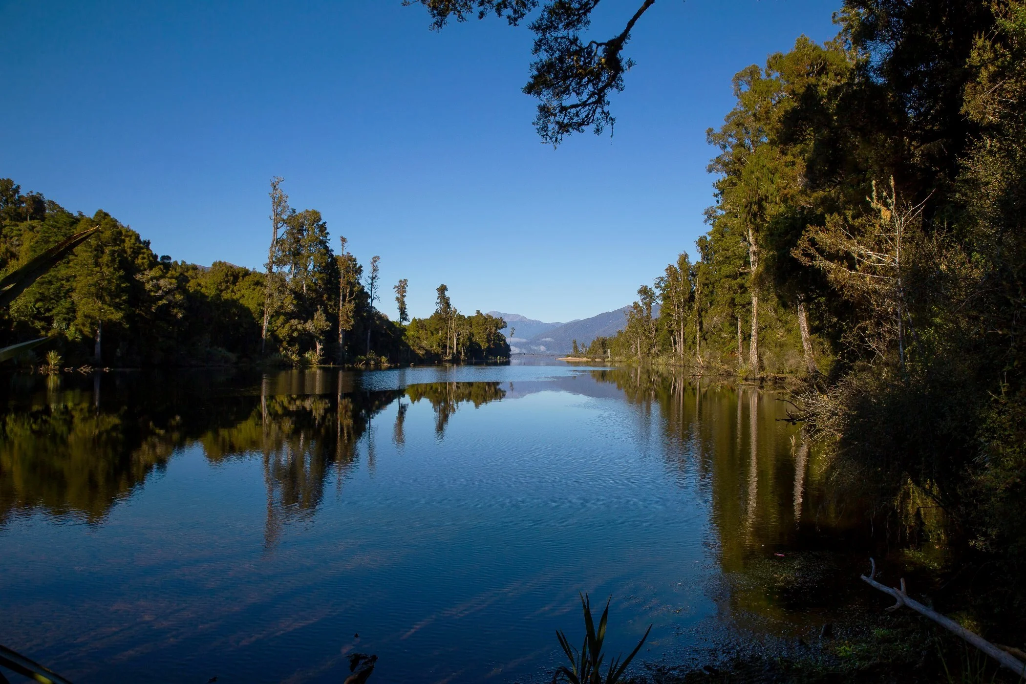 Arnold River,d-1195.jpg