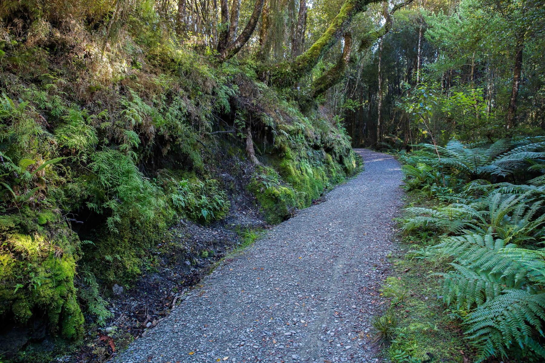 Arnold River,d-1184.jpg