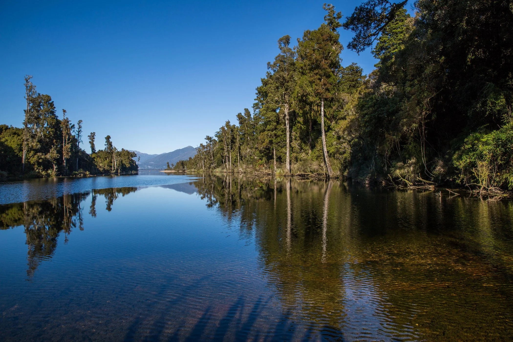 Arnold River,d-1196.jpg