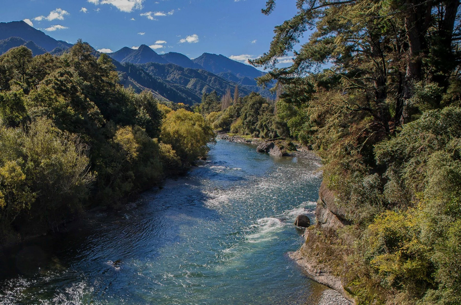 Buller River,d-623.jpg