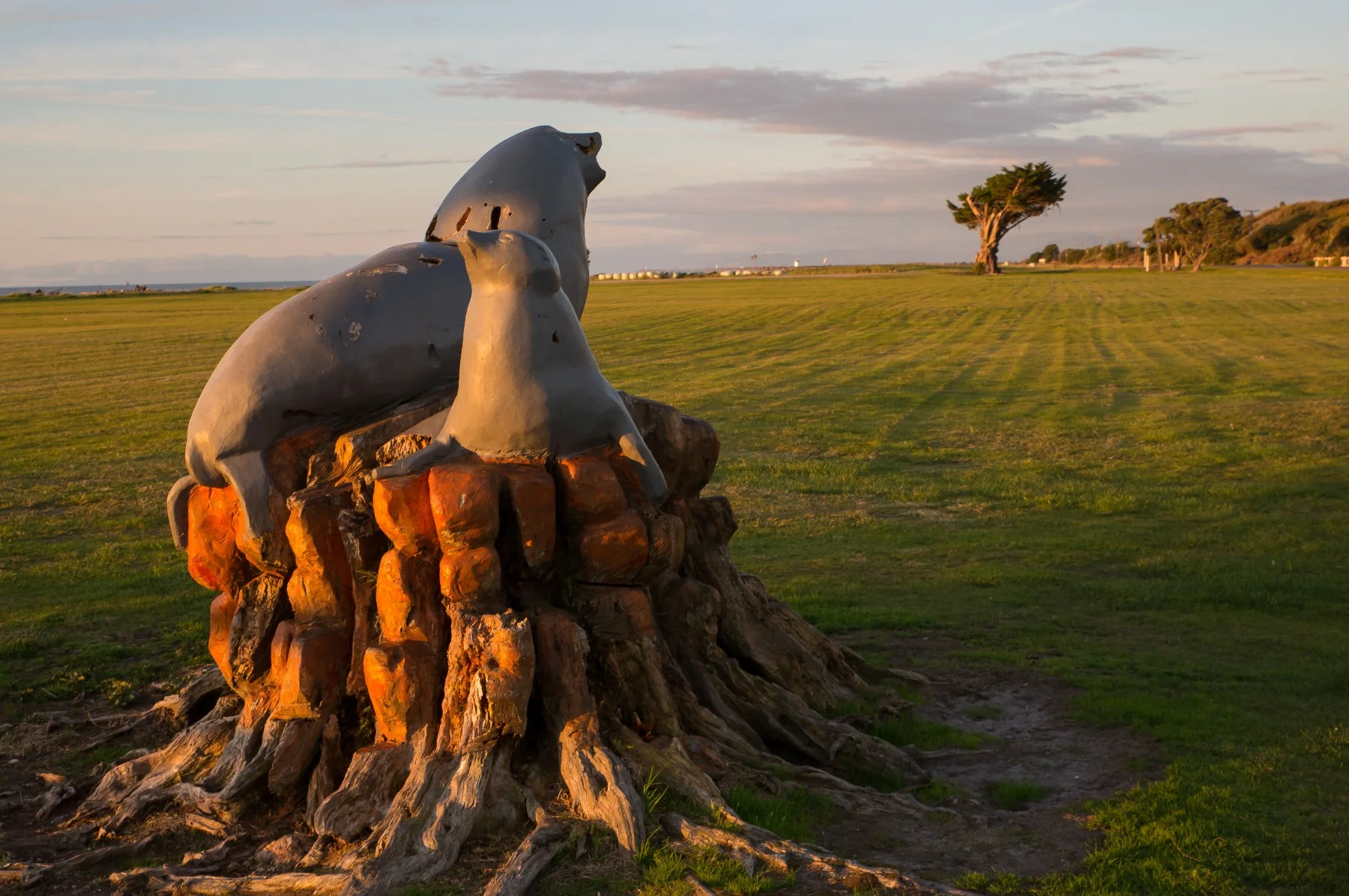 Carters Beach,d-657.jpg